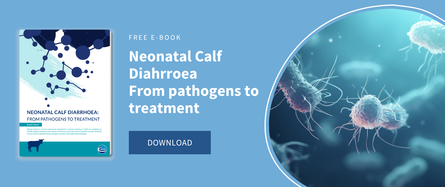How to manage clinical cryptosporidiosis in calves?