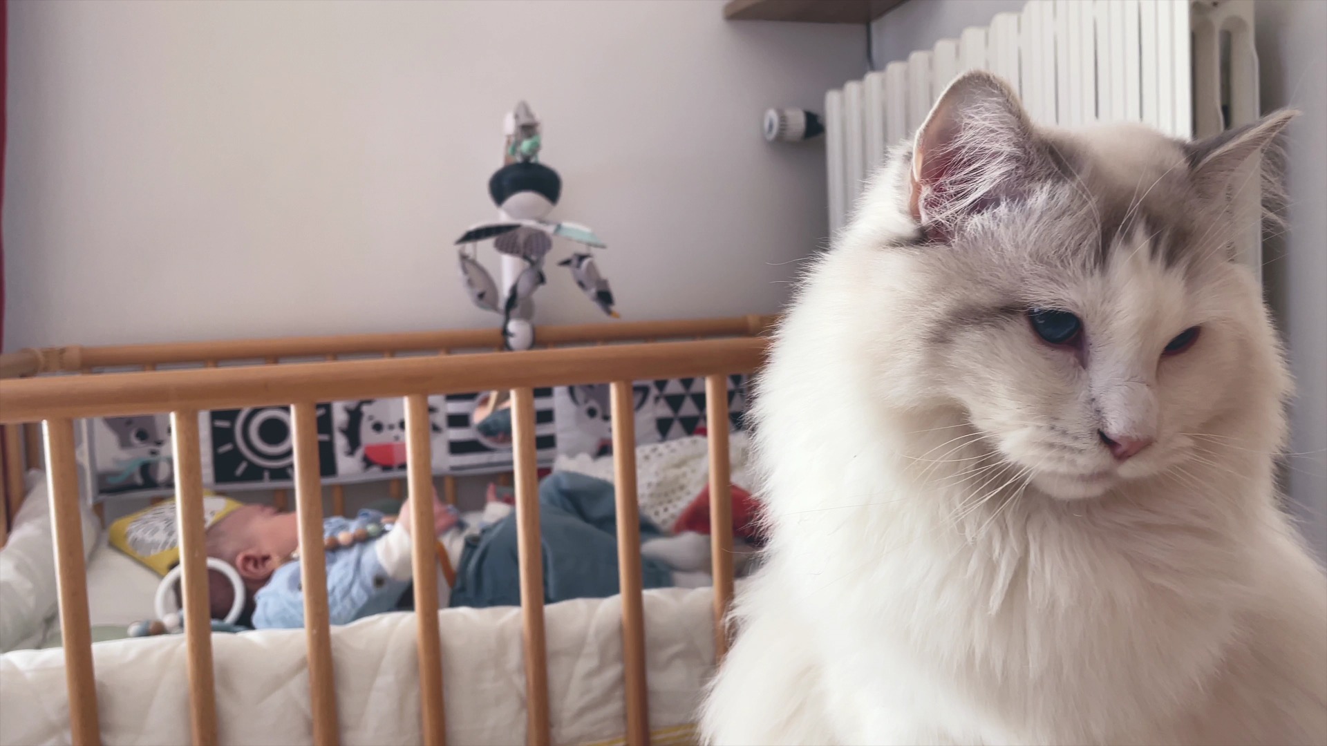 Cat standing next to baby crib.