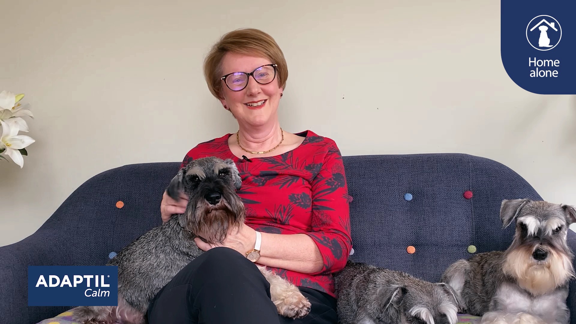 happy owner Gill with mini schnauzer Vinny