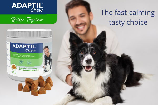 ADAPTIL Chew Banner The fast-calming tasty choice-1