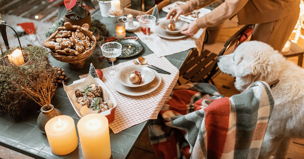 Cane che guarda il suo proprietario mentre serve la cena di Natale