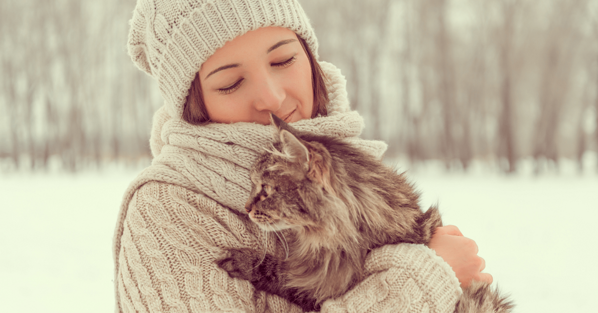 Come proteggere il gatto domestico dal freddo