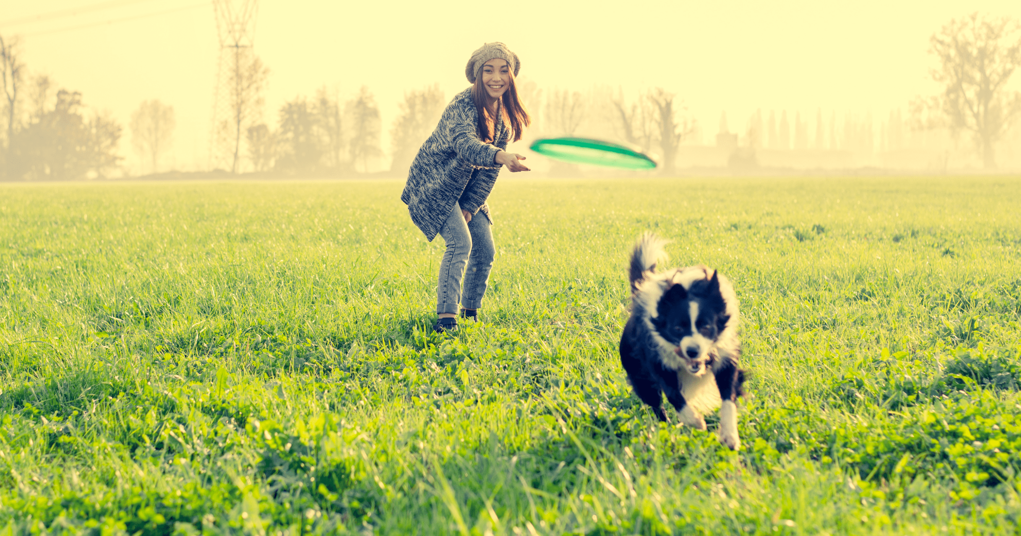 Come stimolare la mente del cane