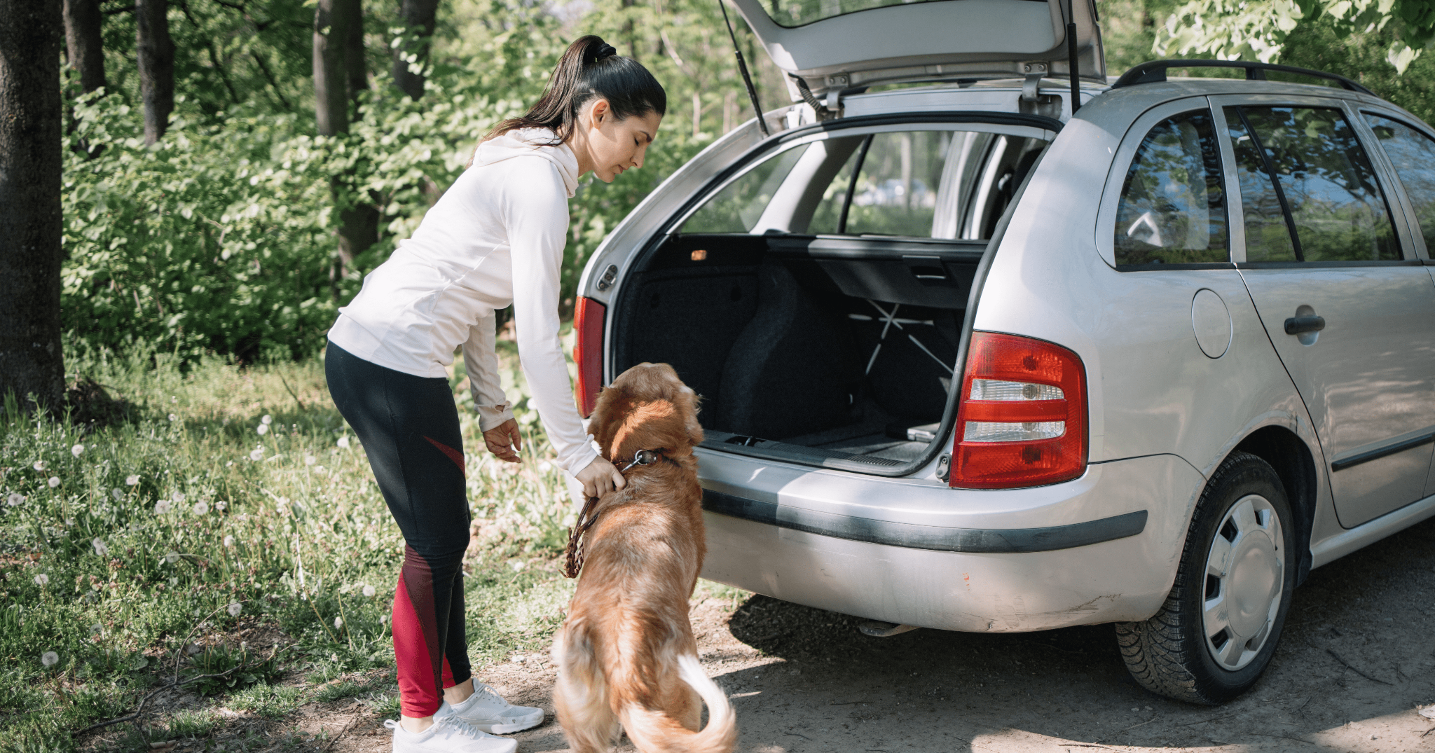 Consigli per la sicurezza del trasporto del cane in auto