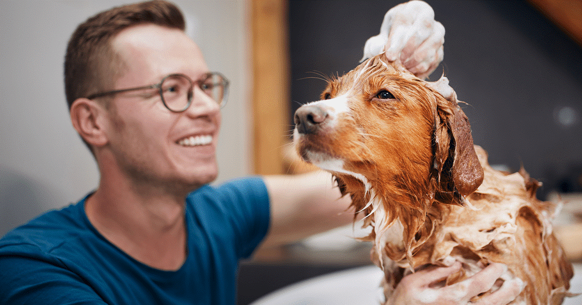 Consigli su come fare il bagno al cane