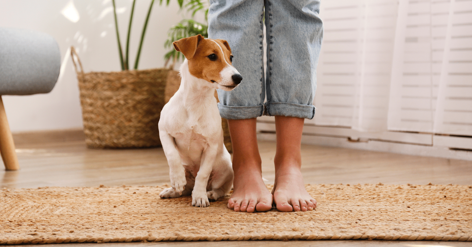 why do dogs sit at your feet in the bathroom