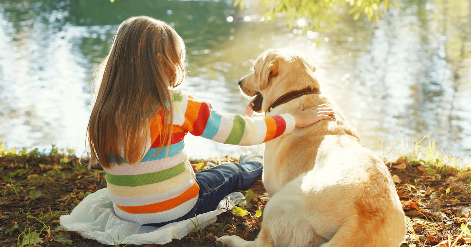 dog sat next to river with girl