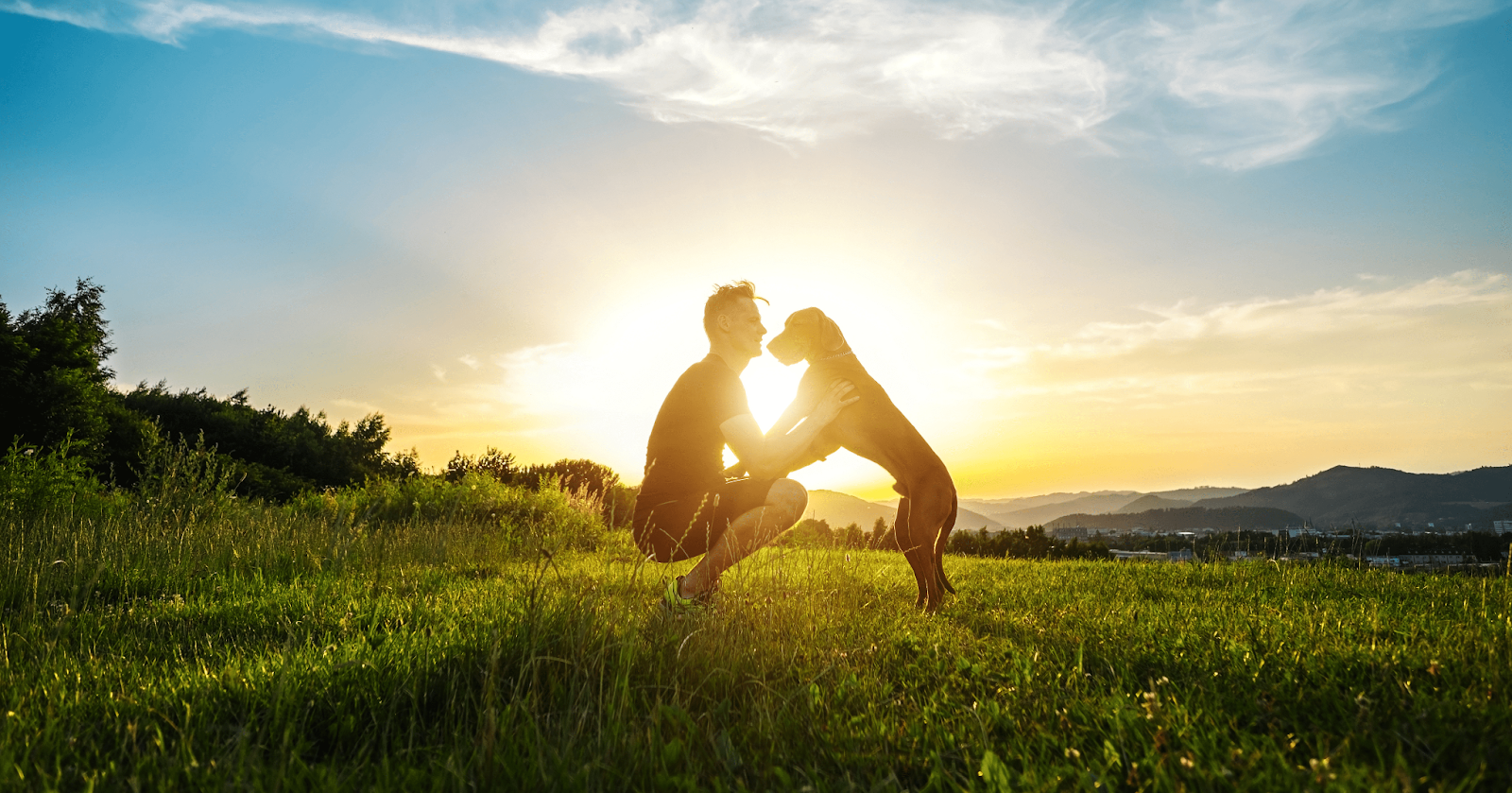 dog with man in sunset 