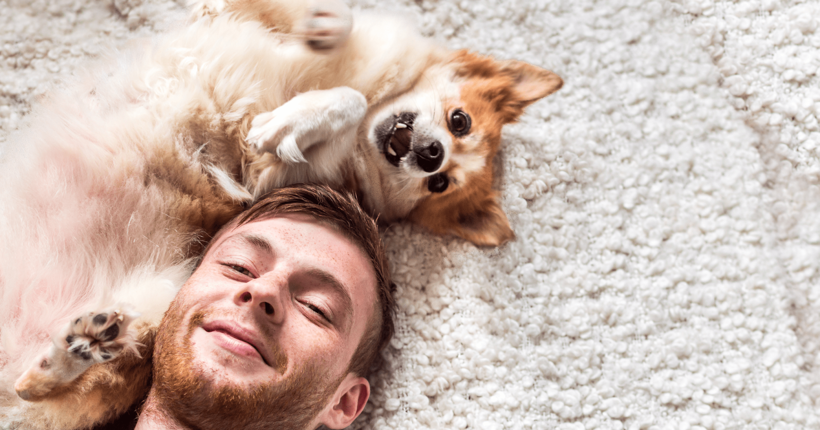happy dog with owner lying down on soft rug