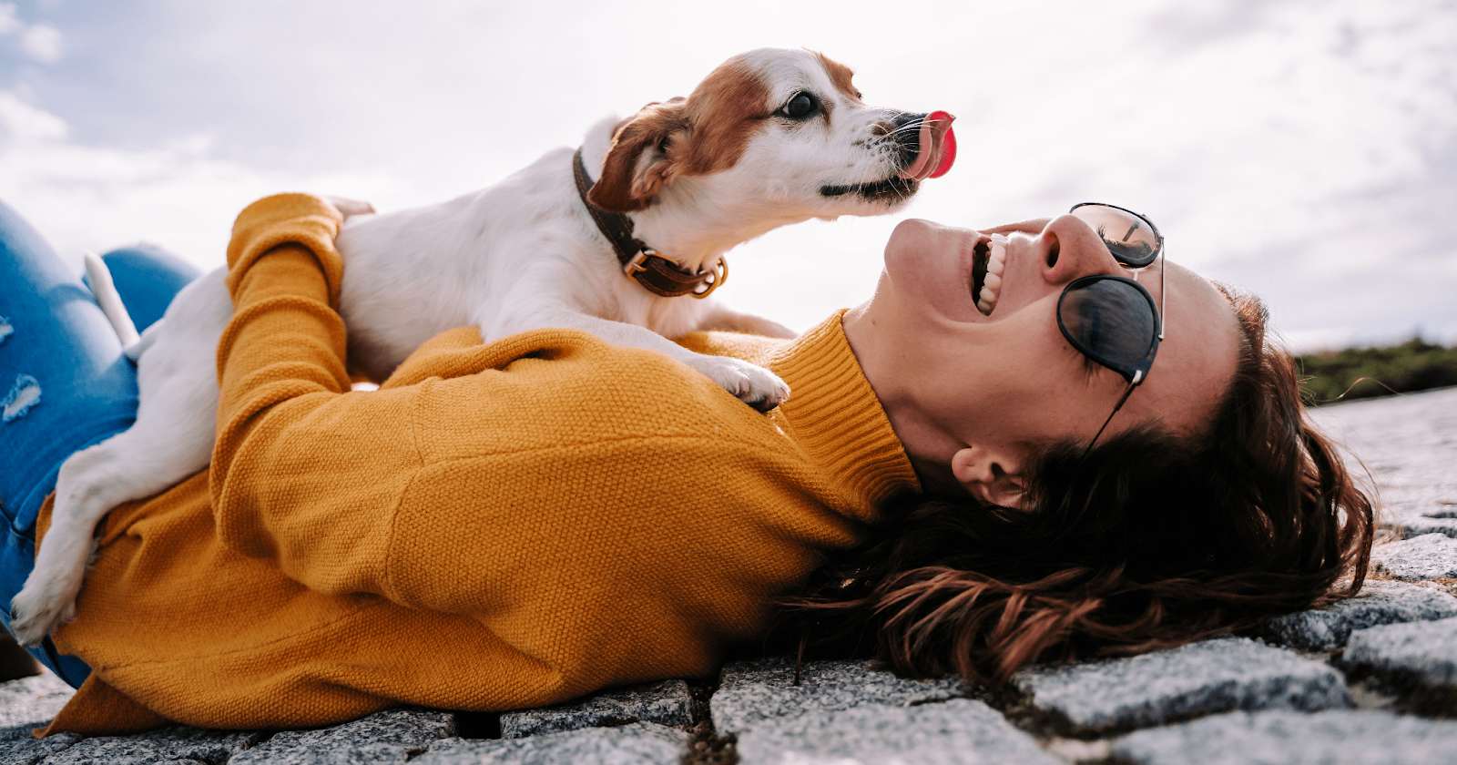 happy terrier licking owners face lying down outside