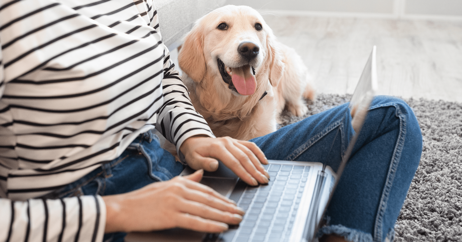 happy dog with owner on laptop