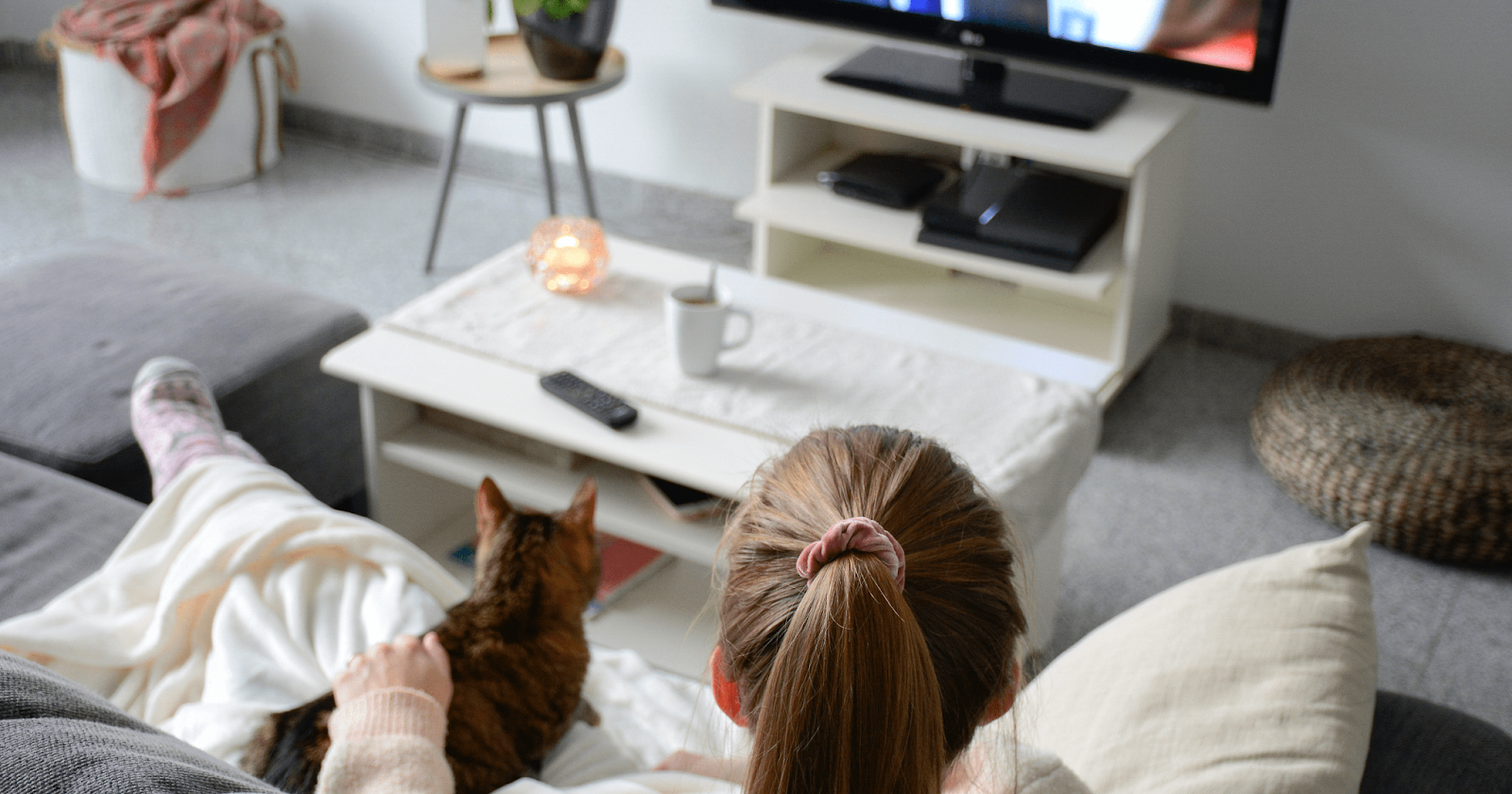 cat on owners lap watching tv