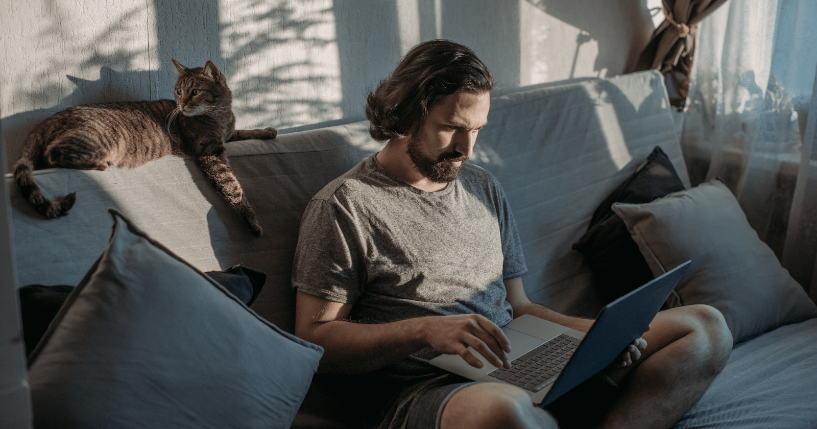cat on sofa with man watching laptop