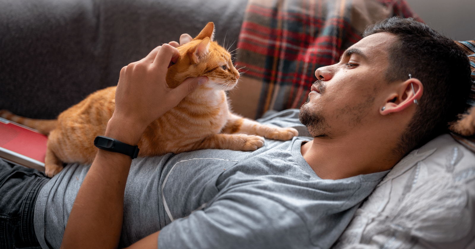 ginger cat sat on mans chest