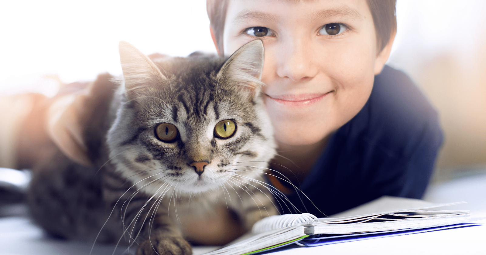 young boy with cat