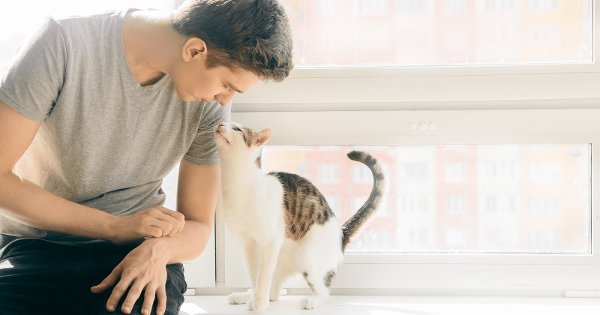 cat with owner