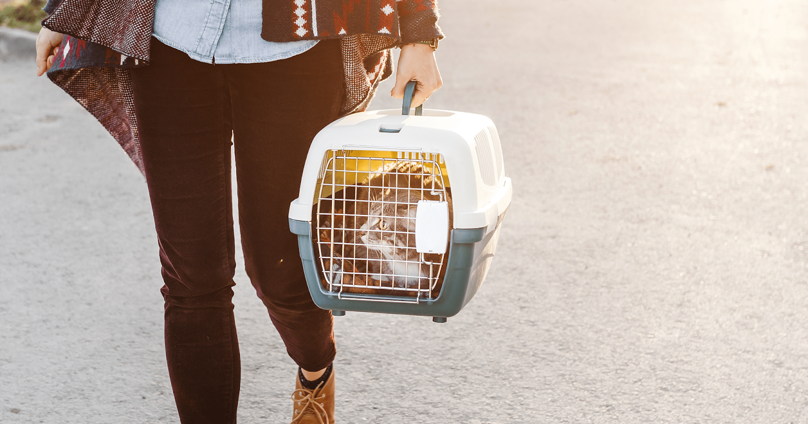 cat in carrier when owner is walking outside