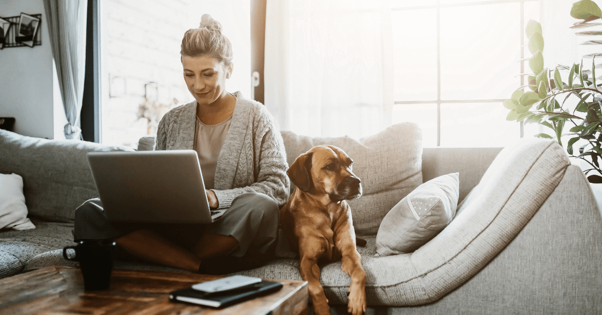 dog sat on sofa with lady using laptop