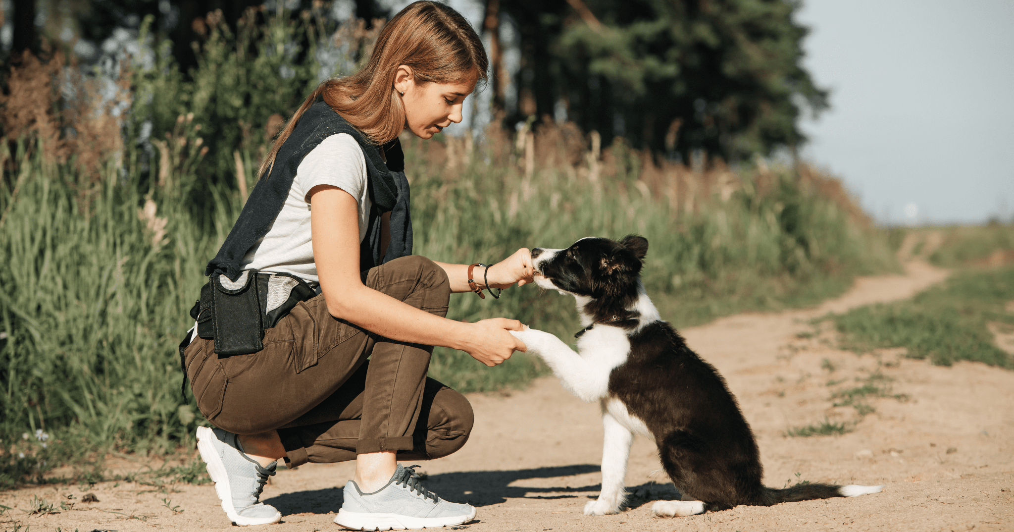 I disturbi del comportamento nel cucciolo