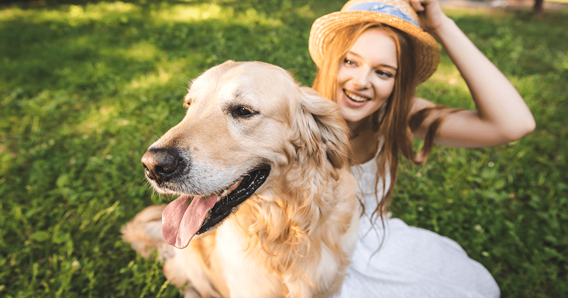 sentido del gusto en perros