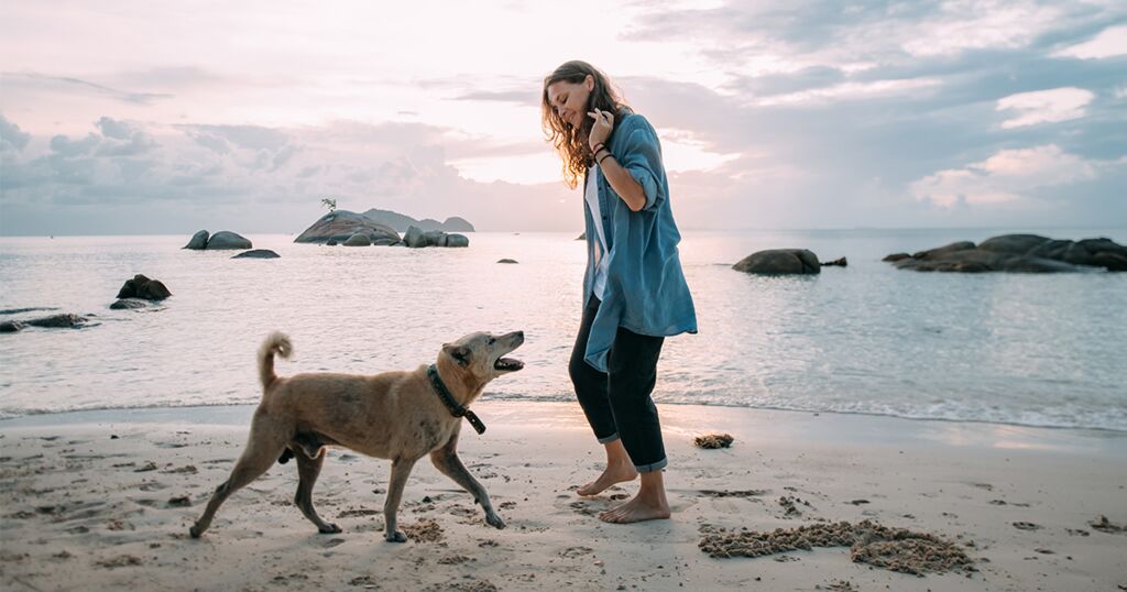 4 Tipps für einen effektiver Spaziergang mit deinem Hund!