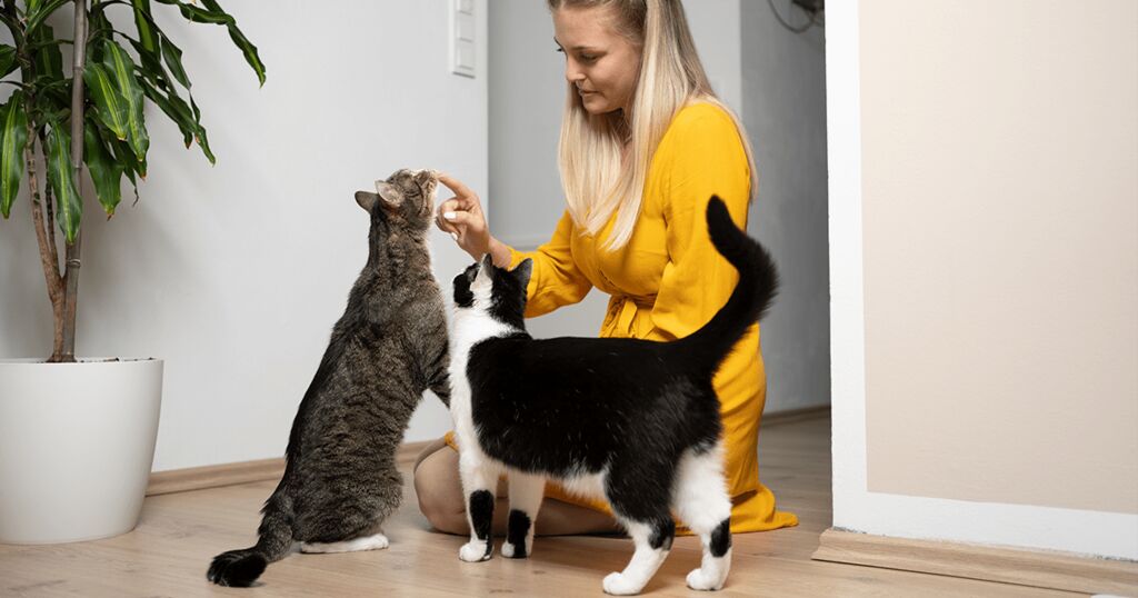 Frau mit zwei Katzen 