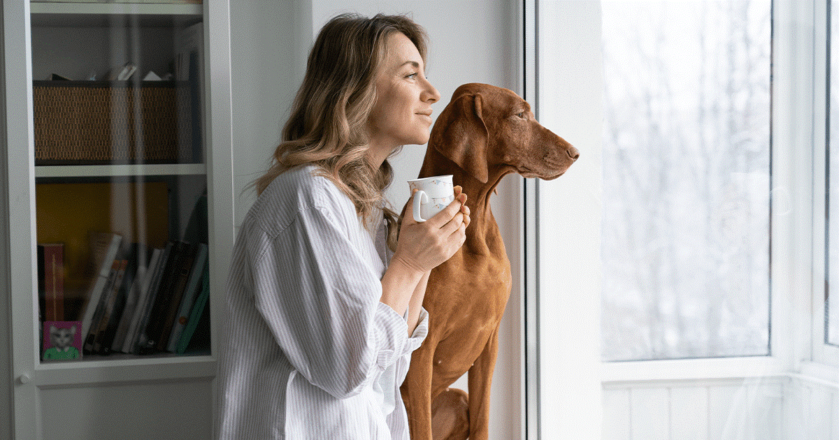 Motivi dell’ululato del cane