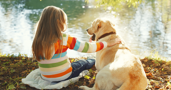 Perché al cane piace stare al sole