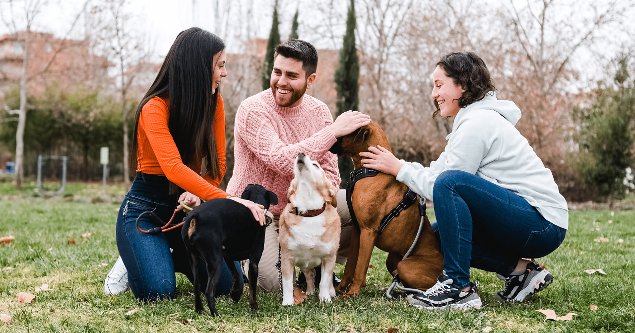 Perché i cani abbaiano