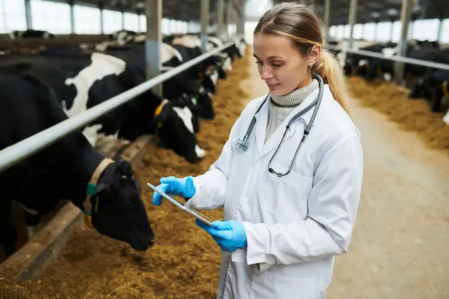 Veterinary profession