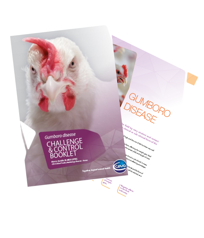 Vignette-684x800-Booklet Hubspot-SMALL