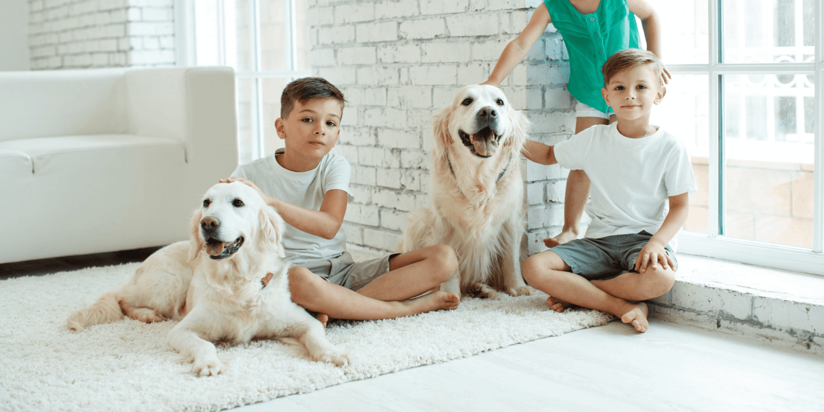 Zwei Jungs sitzen mit Hunden auf Teppich-1