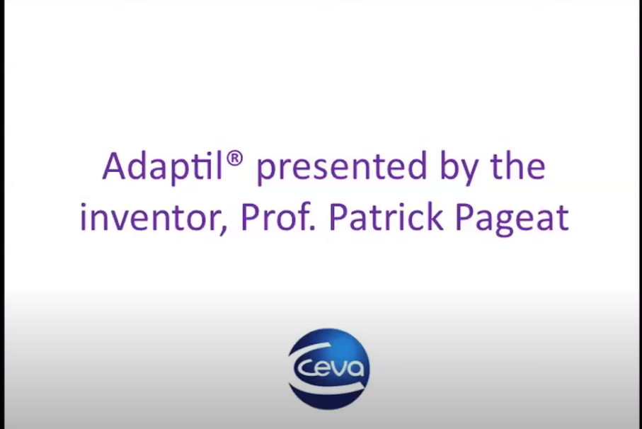 adaptil