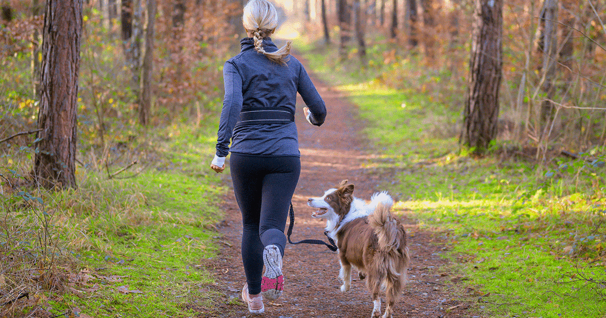 cane corre nella foresta con il suo padrone