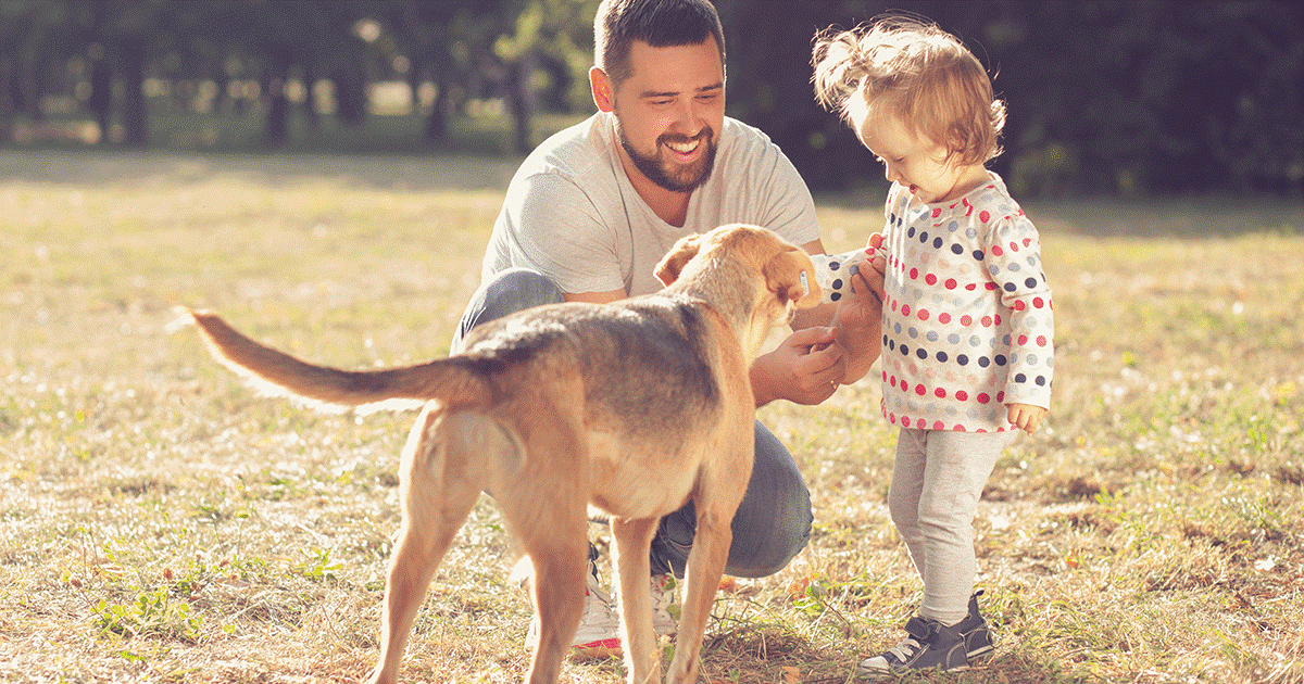 come capire se il cane è geloso del neonato