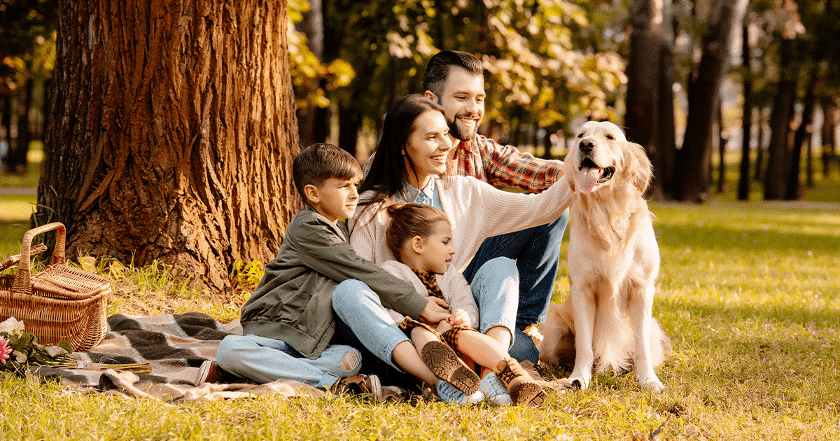 consigli per far adattare il cane alla nuova routine