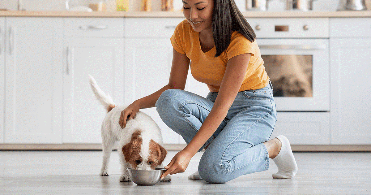 gusto del cane e comportamenti