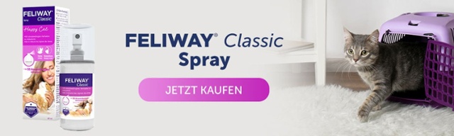Feliway Spray beim Transport