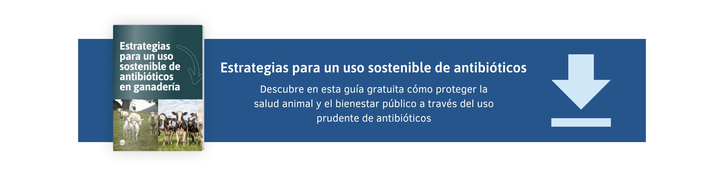 Nueva llamada a la acción