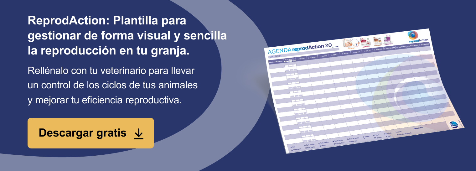 Nueva llamada a la acción