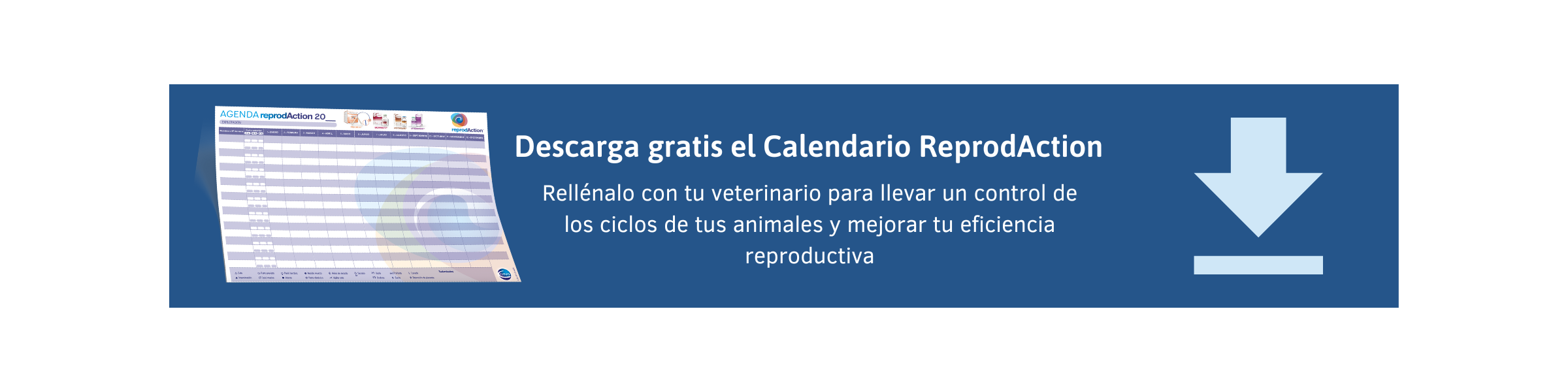 Nueva llamada a la acción