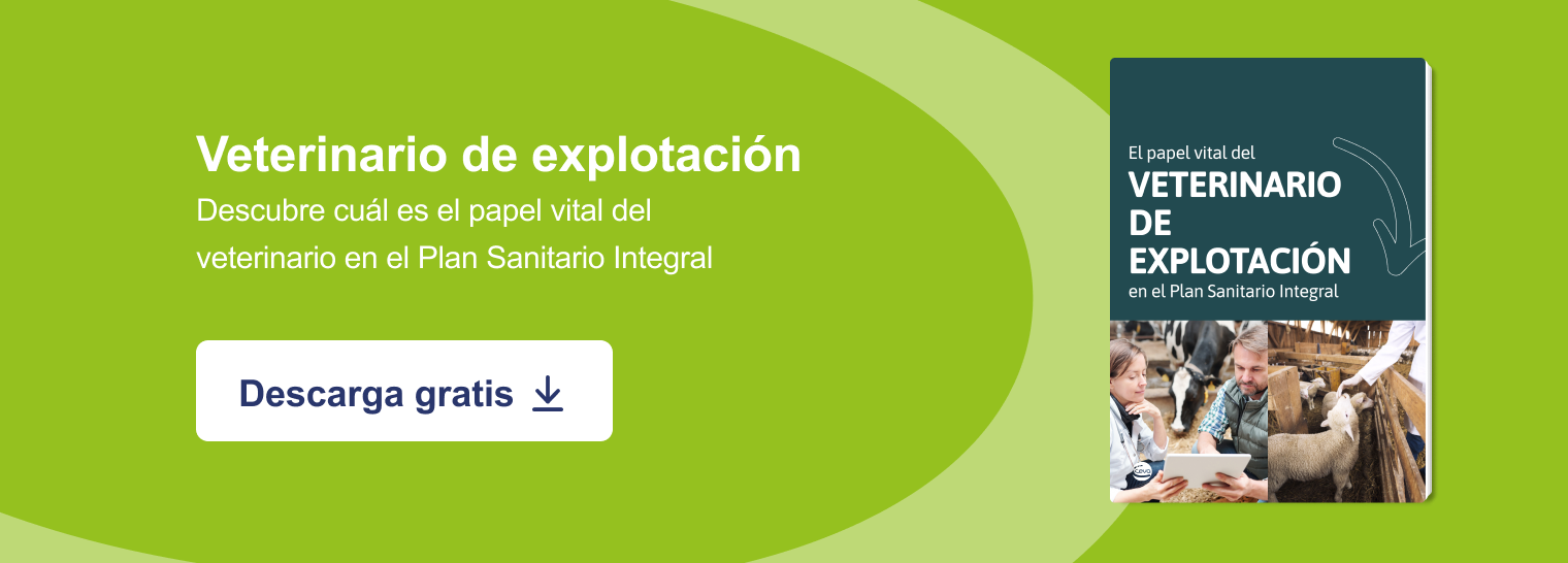 Nueva llamada a la acción