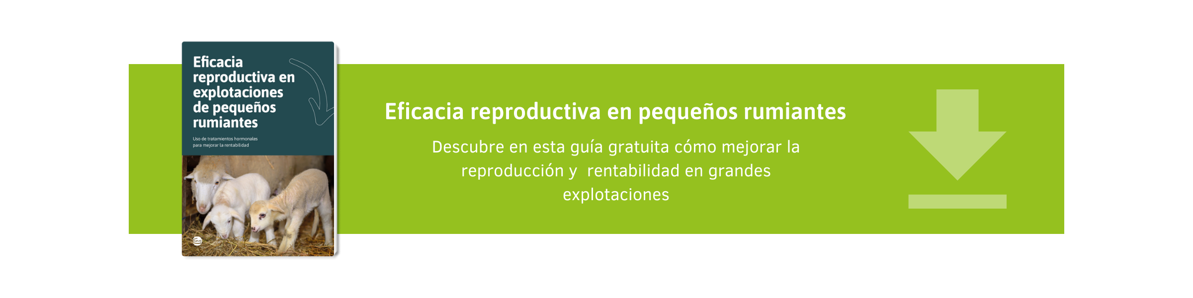 New call-to-action