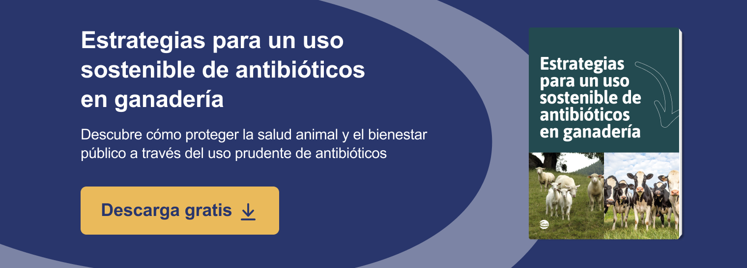 Nueva llamada a la acción