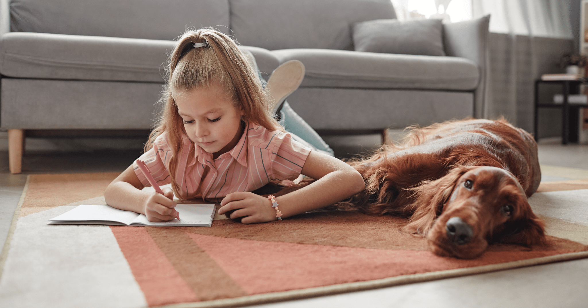 mantenere il cane stimolato