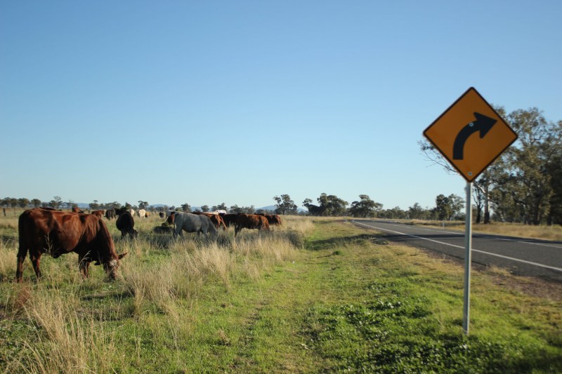 via pecuaria por donde debe circular un rebaño