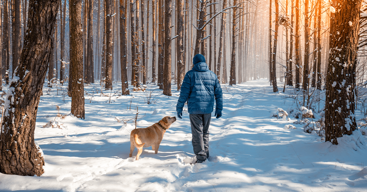 Pfotenpflege Winterjacke Winterspaziergang Hund