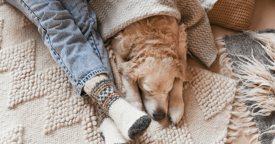 Gassi gehen bei Kälte: 23 Tipps, um deinen Hund im Winter warmzuhalten