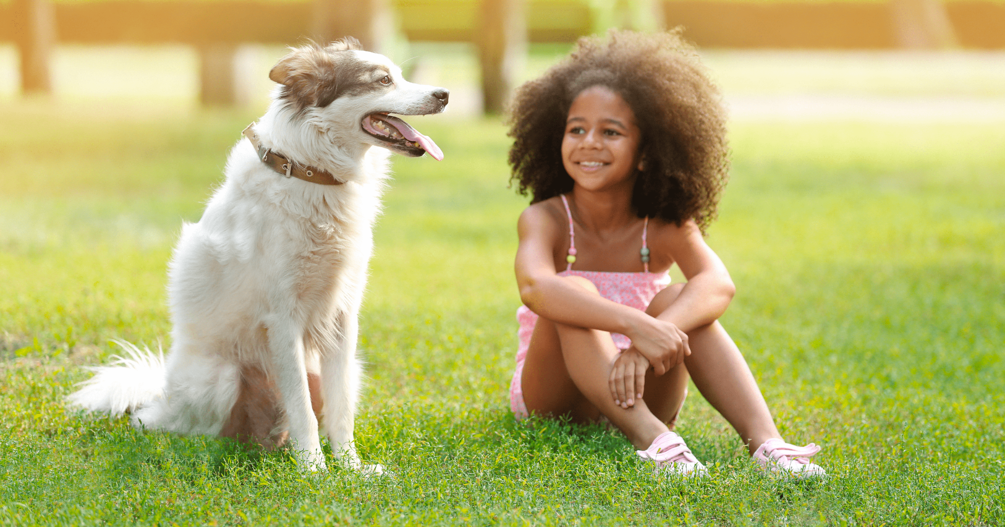 stimolare mentalmente il cane