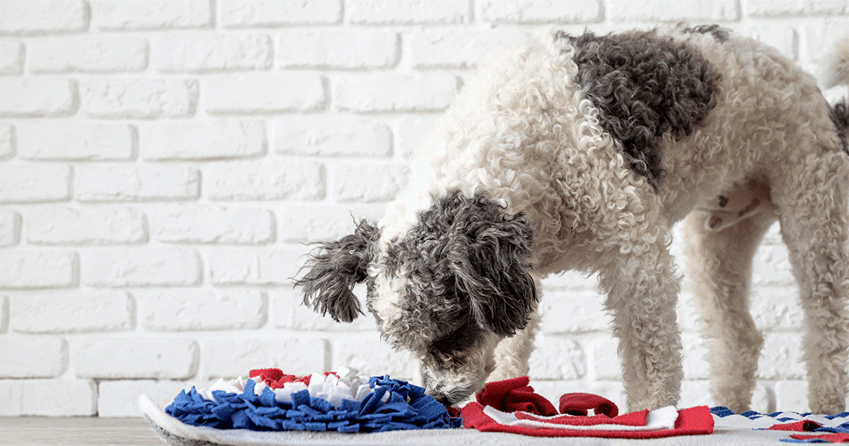 tappetino fai da te per il cane